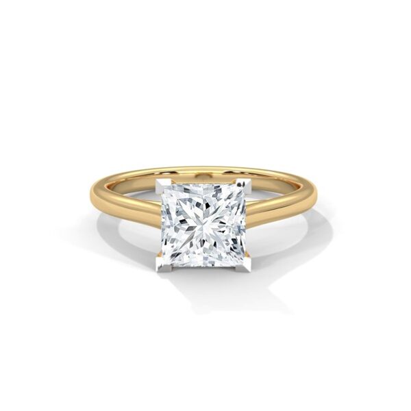 1 to 4 Carats Princess Cut Engagement Ring